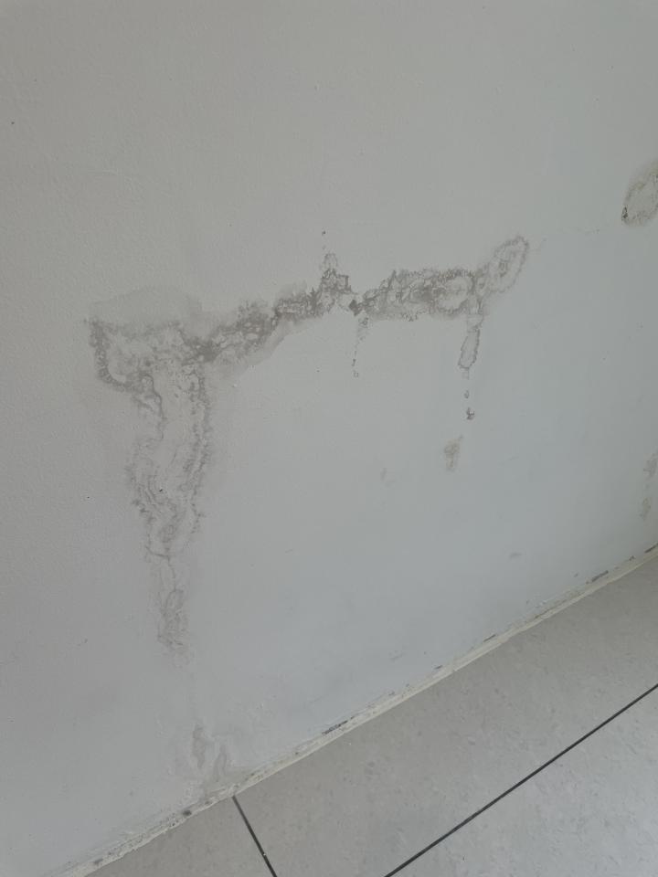 抓漏案件圖片