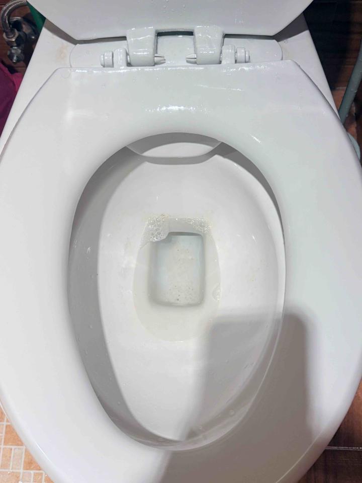 馬桶裝修案件圖片