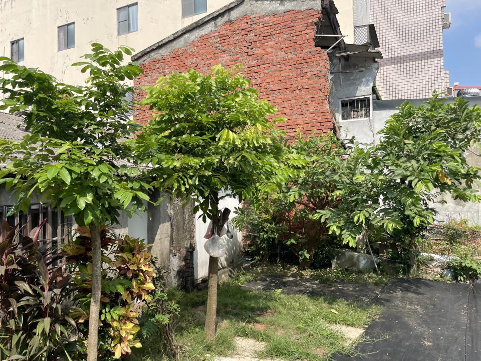 園藝維護案件圖片