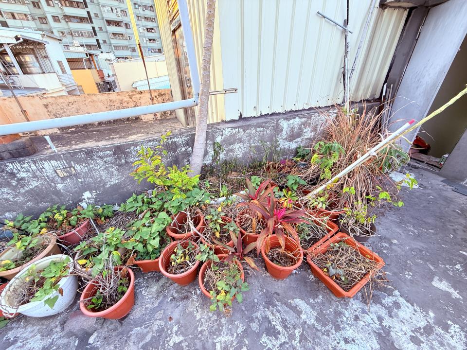 大型垃圾回收案件圖片