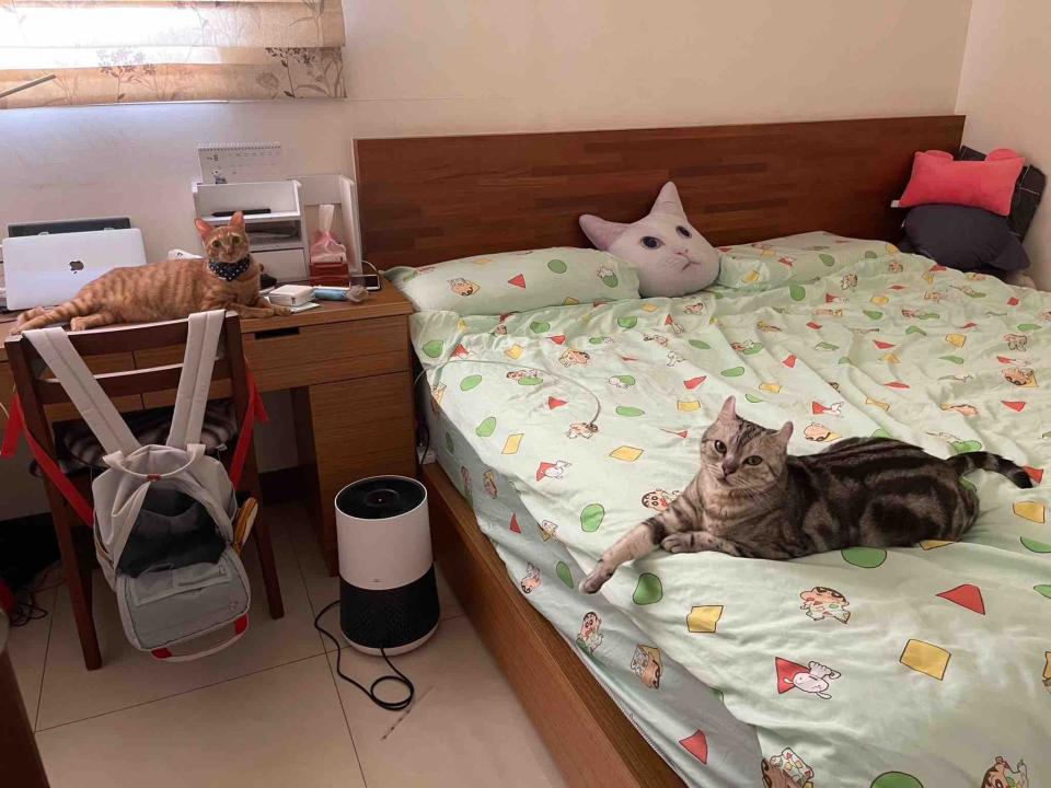 搬家案件圖片