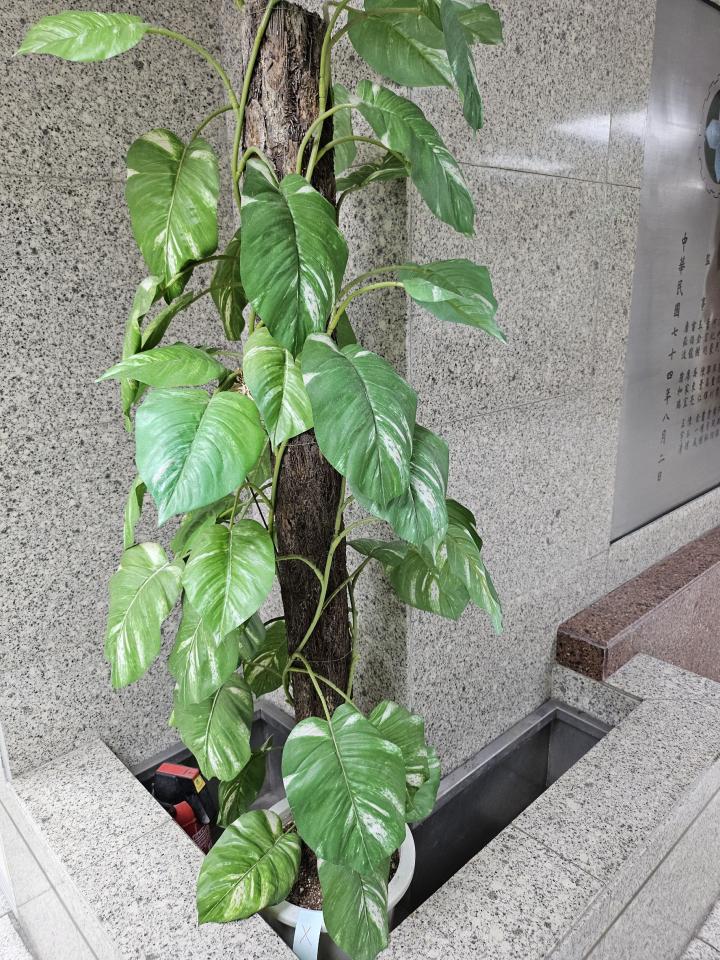 大型垃圾回收案件圖片 大型垃圾回收案件圖片