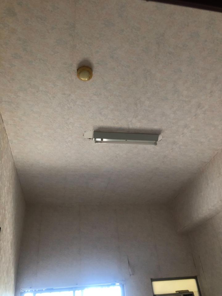 壁紙清除案件圖片