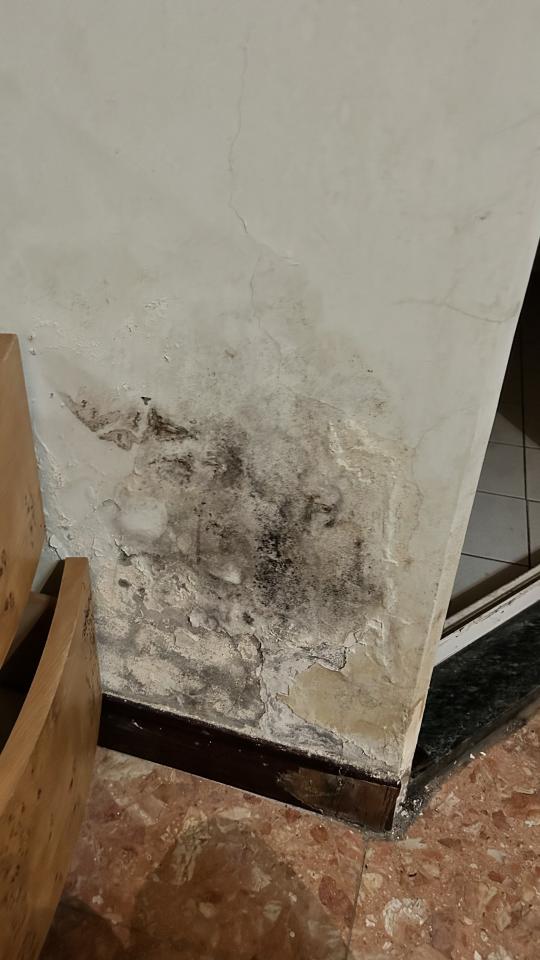 漏水處理案件圖片