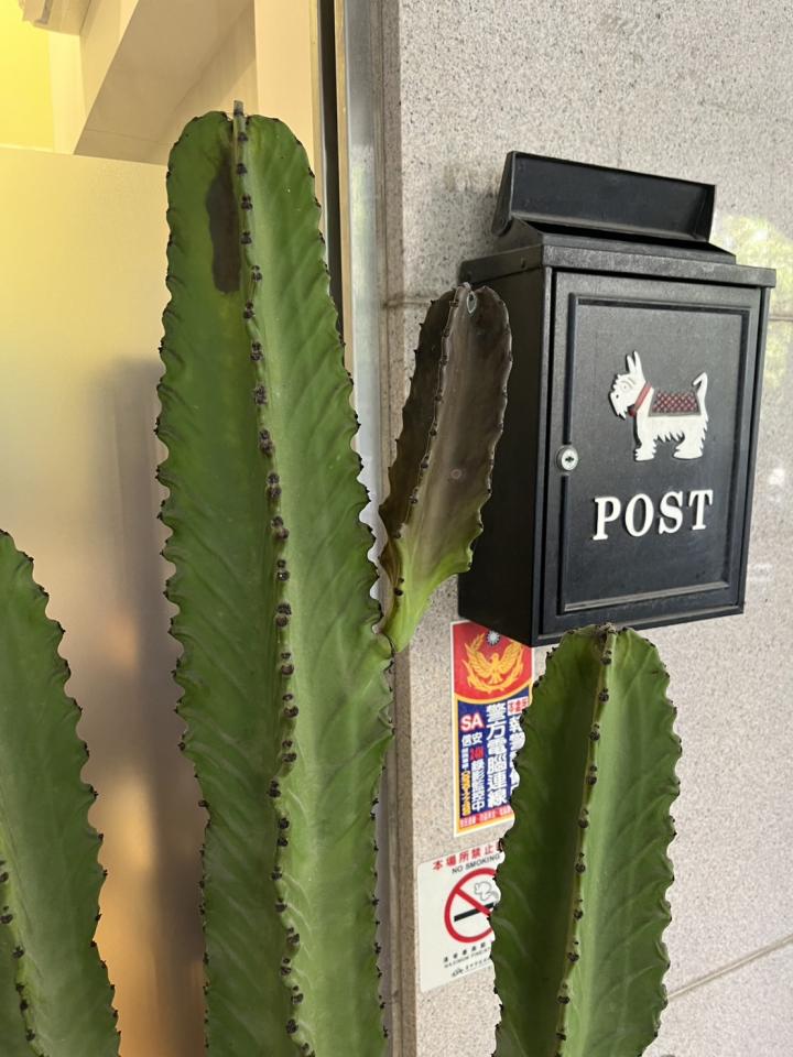 植物診療師案件圖片