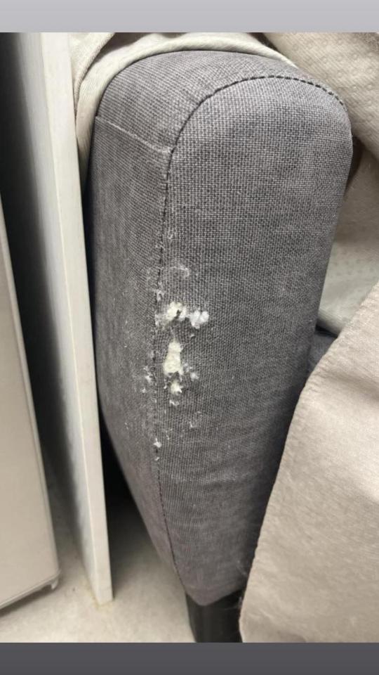 沙發修理案件圖片