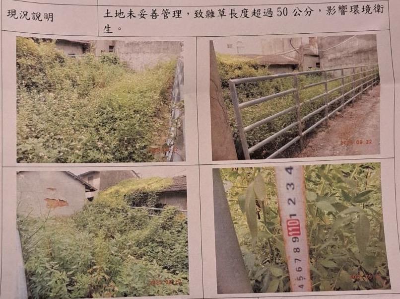 園藝維護案件圖片