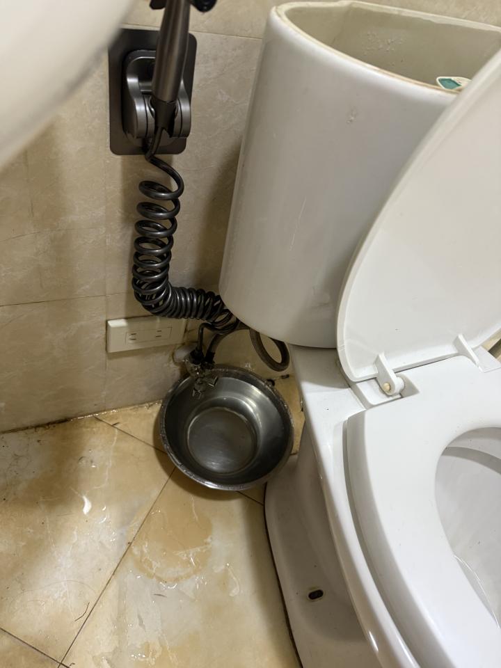 馬桶裝修案件圖片