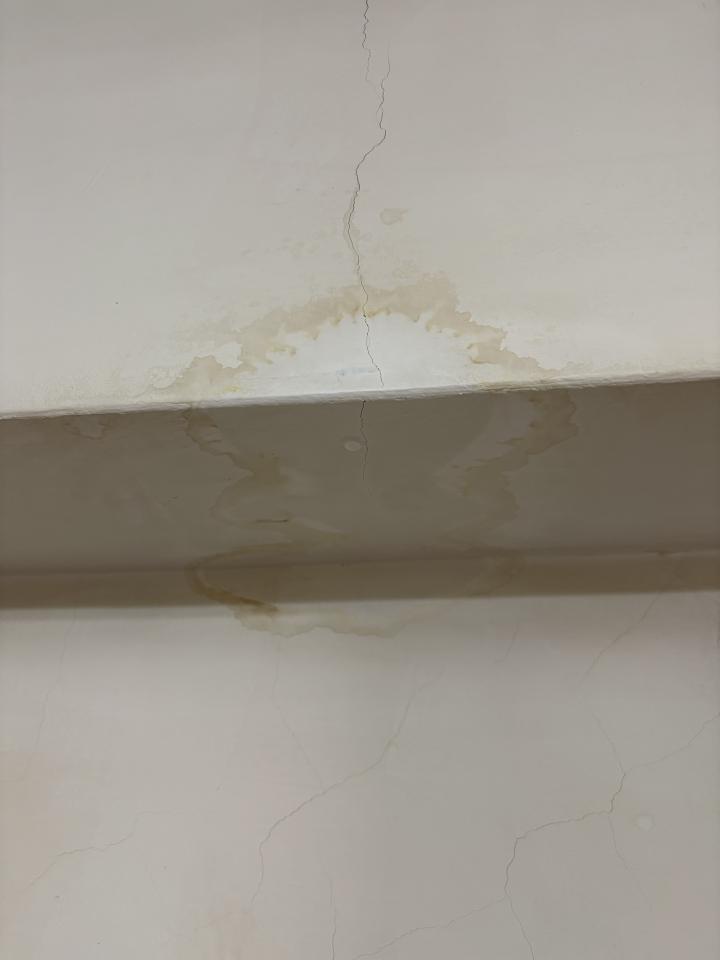 抓漏案件圖片