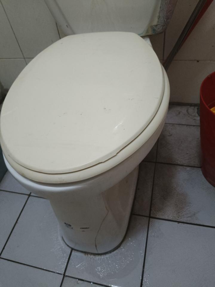 馬桶裝修案件圖片