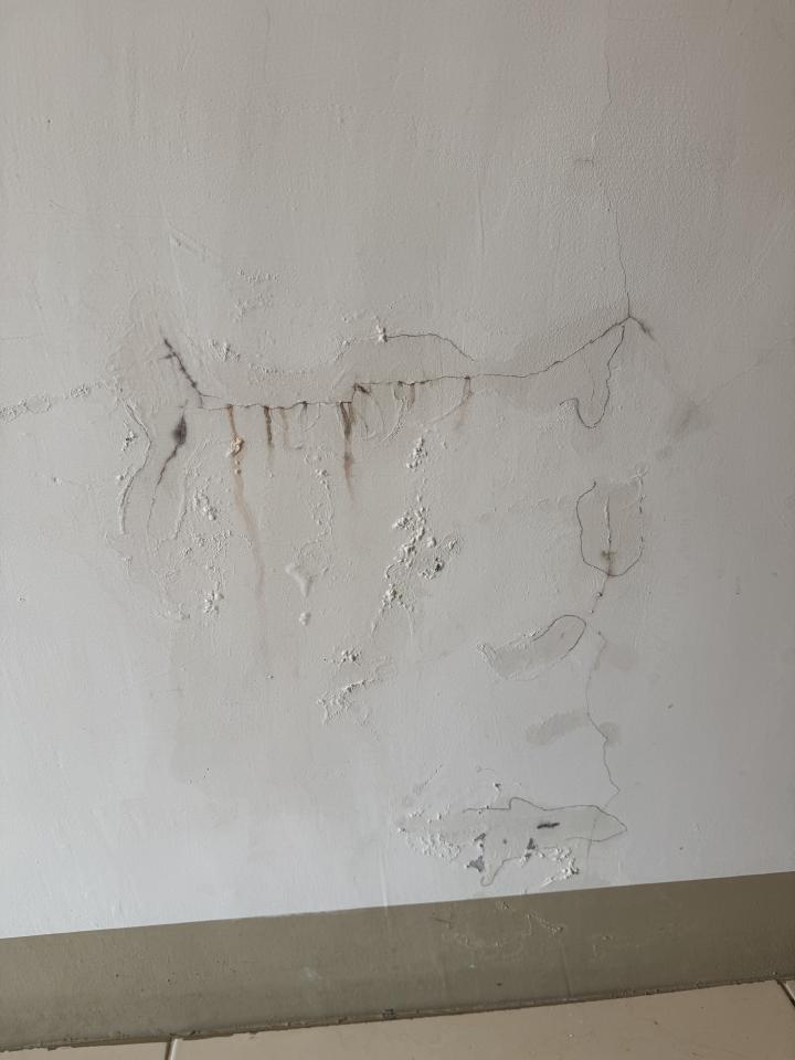 抓漏案件圖片 抓漏案件圖片