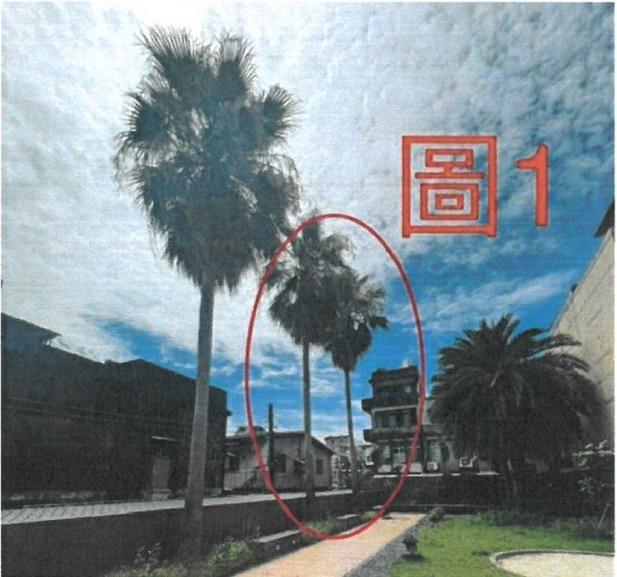 園藝維護案件圖片
