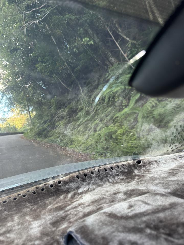 汽車玻璃修補案件圖片