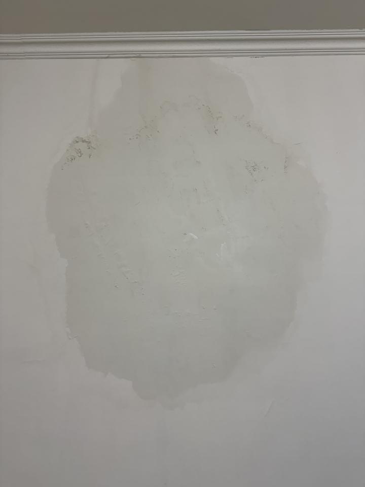 壁癌處理案件圖片