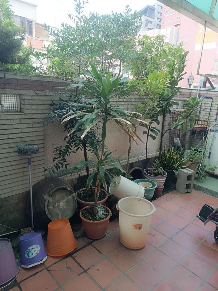 圍牆施工案件圖片