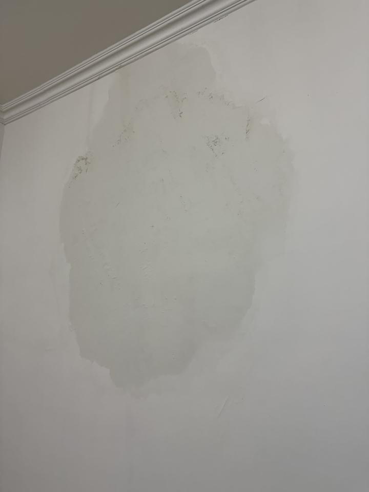 壁癌處理案件圖片