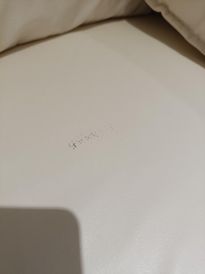 沙發清潔案件圖片