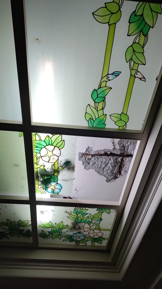 鋼筋外露處理案件圖片