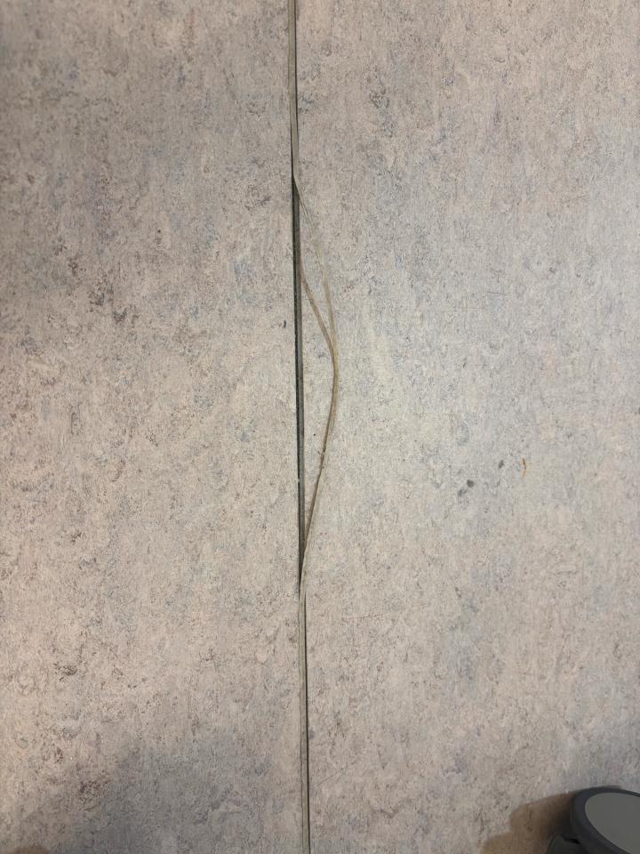 地板施工案件圖片 地板施工案件圖片
