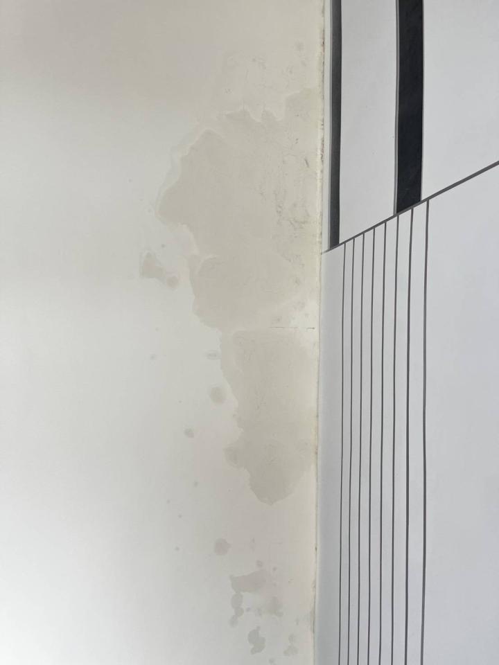 抓漏案件圖片 抓漏案件圖片