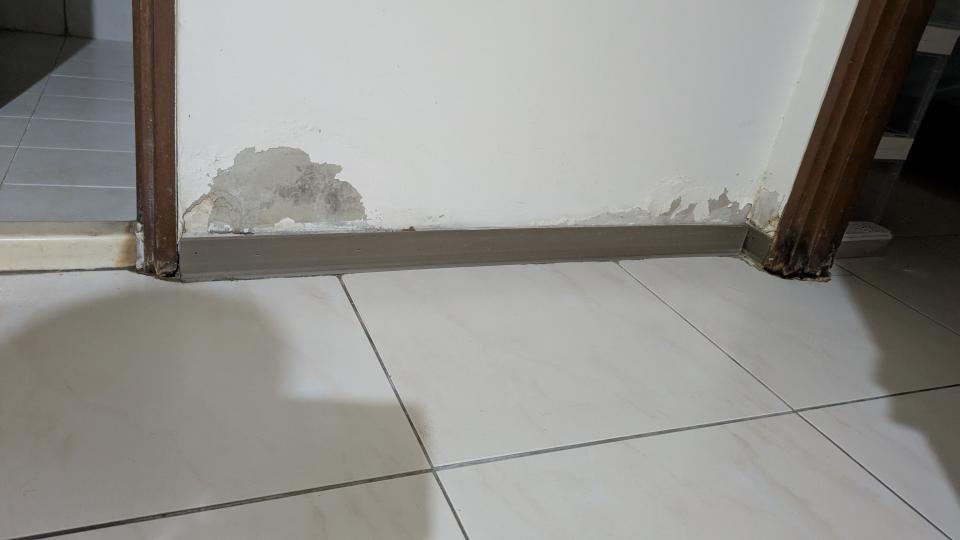 抓漏案件圖片