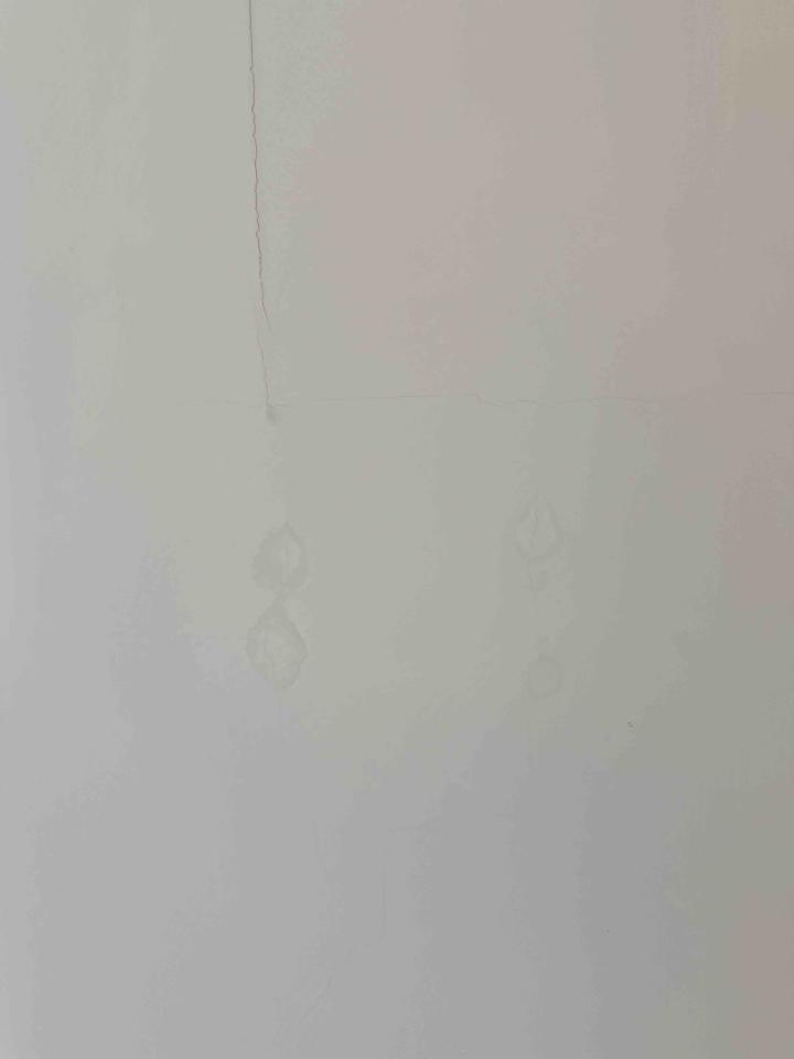 抓漏案件圖片 抓漏案件圖片