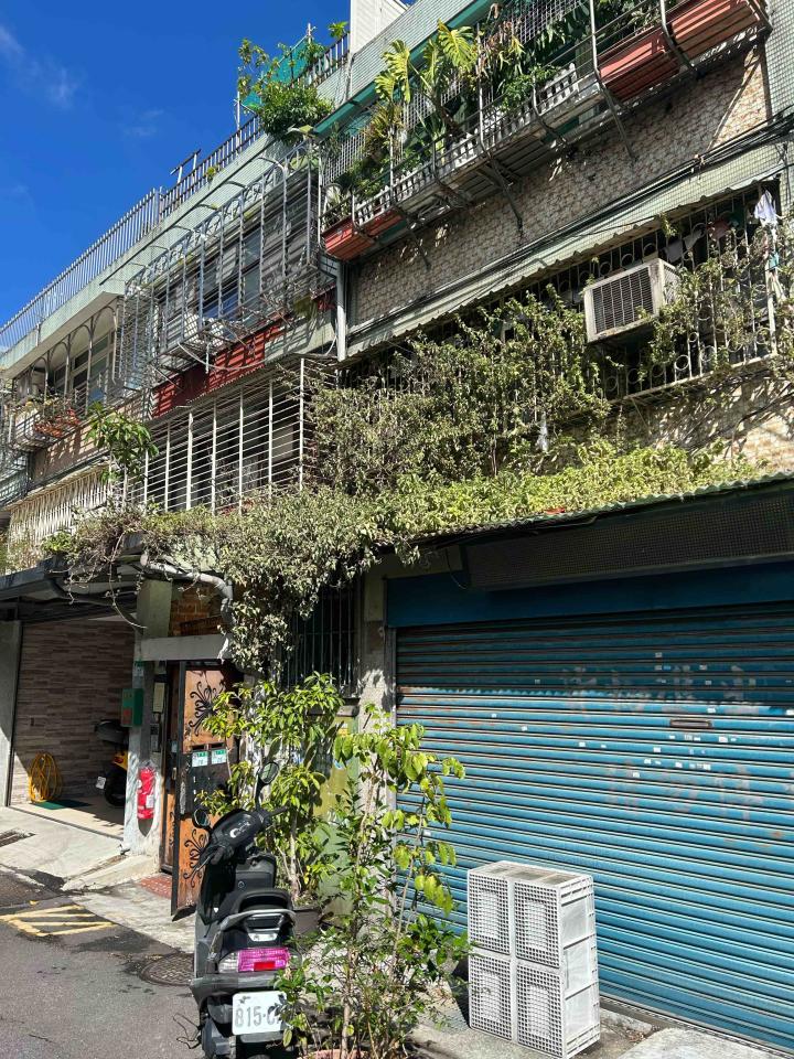 園藝維護案件圖片