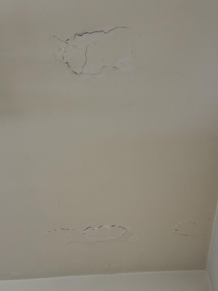 泥作/水泥施工案件圖片