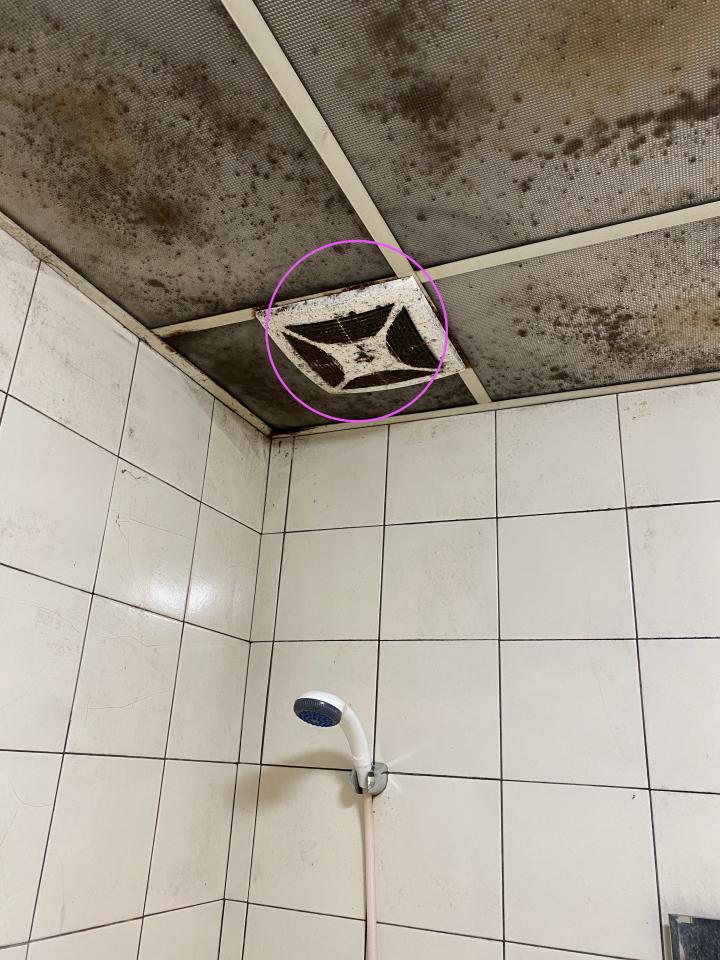 天花板設計案件圖片 天花板設計案件圖片