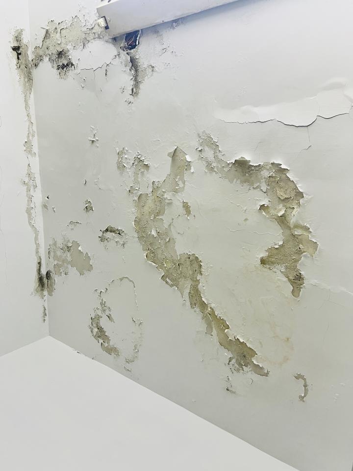 油漆工程案件圖片 油漆工程案件圖片