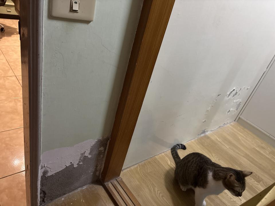 抓漏案件圖片 抓漏案件圖片