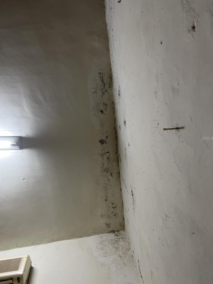 油漆工程案件圖片