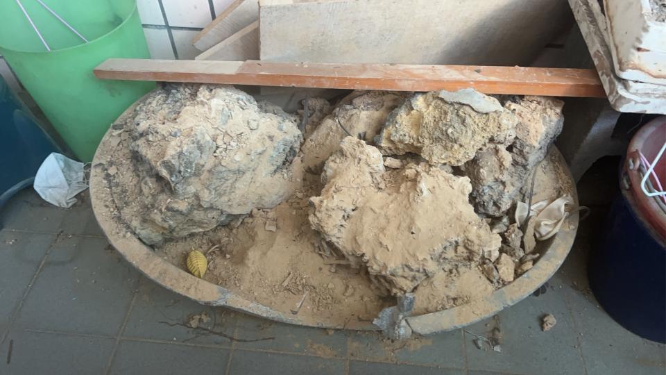 大型垃圾回收案件圖片