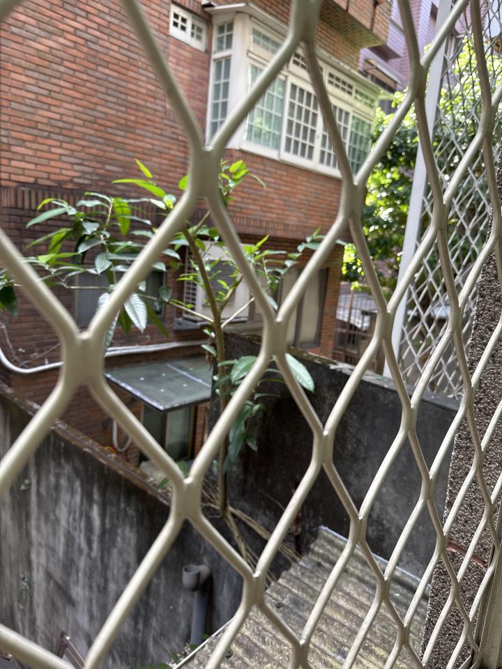 園藝維護案件圖片