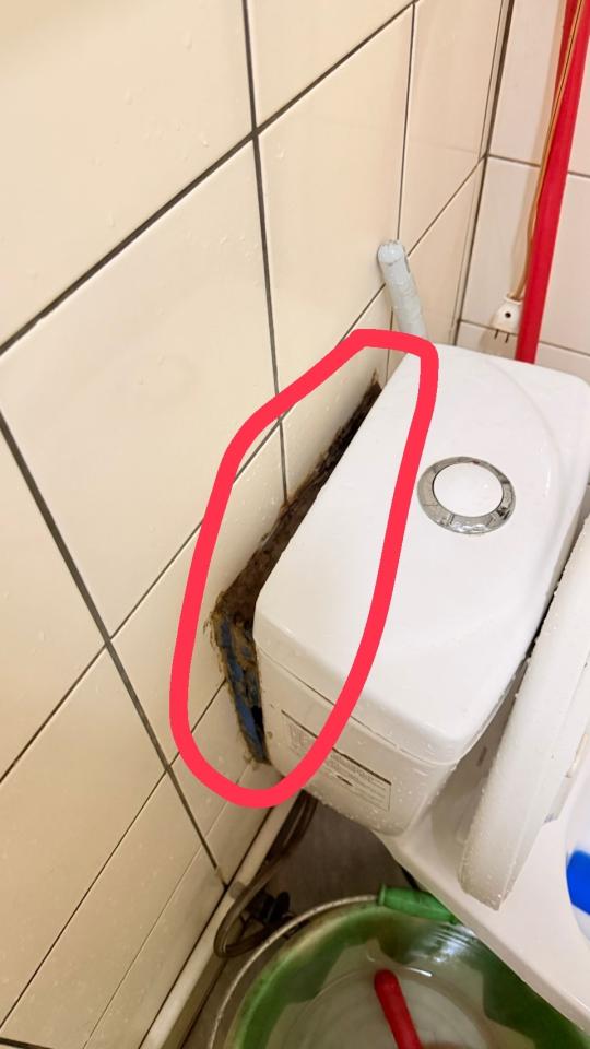 馬桶裝修案件圖片