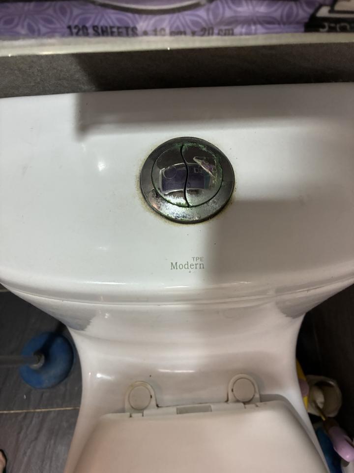 馬桶裝修案件圖片