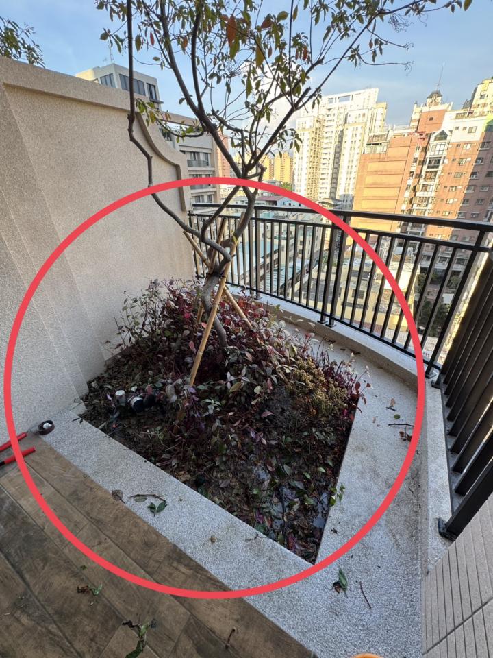 園藝維護案件圖片 園藝維護案件圖片