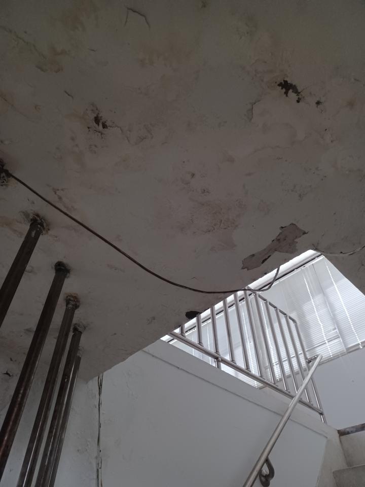 漏水鑑定案件圖片