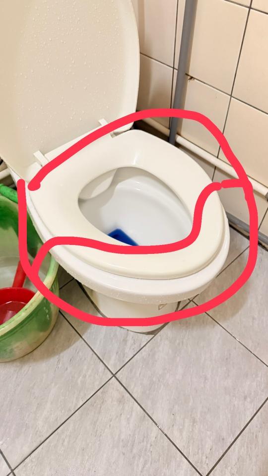 馬桶裝修案件圖片