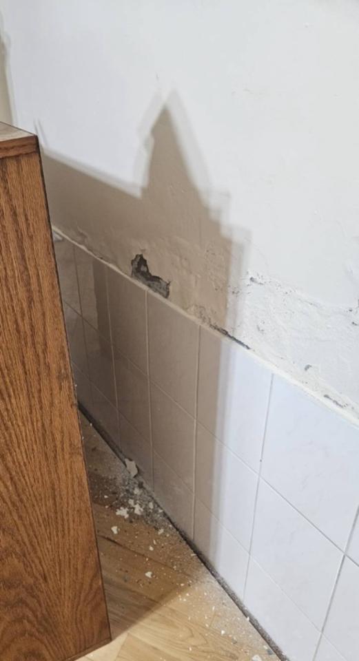 壁癌處理案件圖片 壁癌處理案件圖片