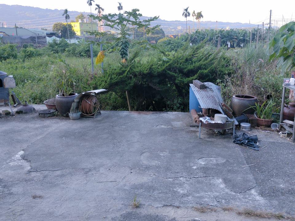 園藝維護案件圖片