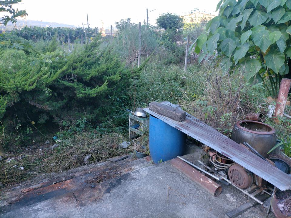 園藝維護案件圖片