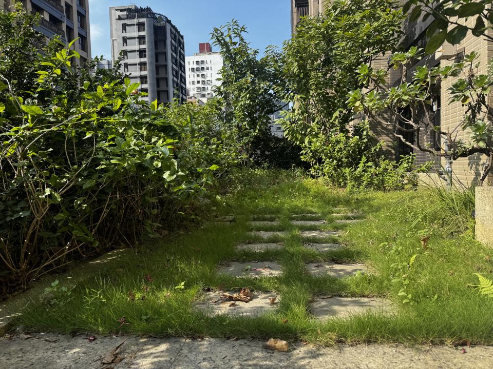 園藝維護案件圖片 園藝維護案件圖片