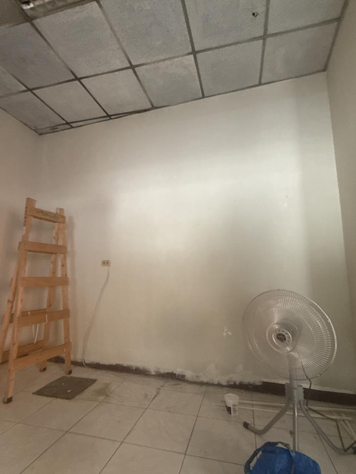 壁紙施工案件圖片 壁紙施工案件圖片