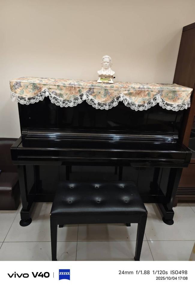 鋼琴搬運案件圖片