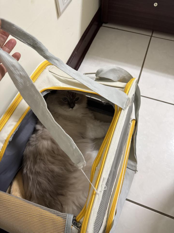 修鞋修包案件圖片