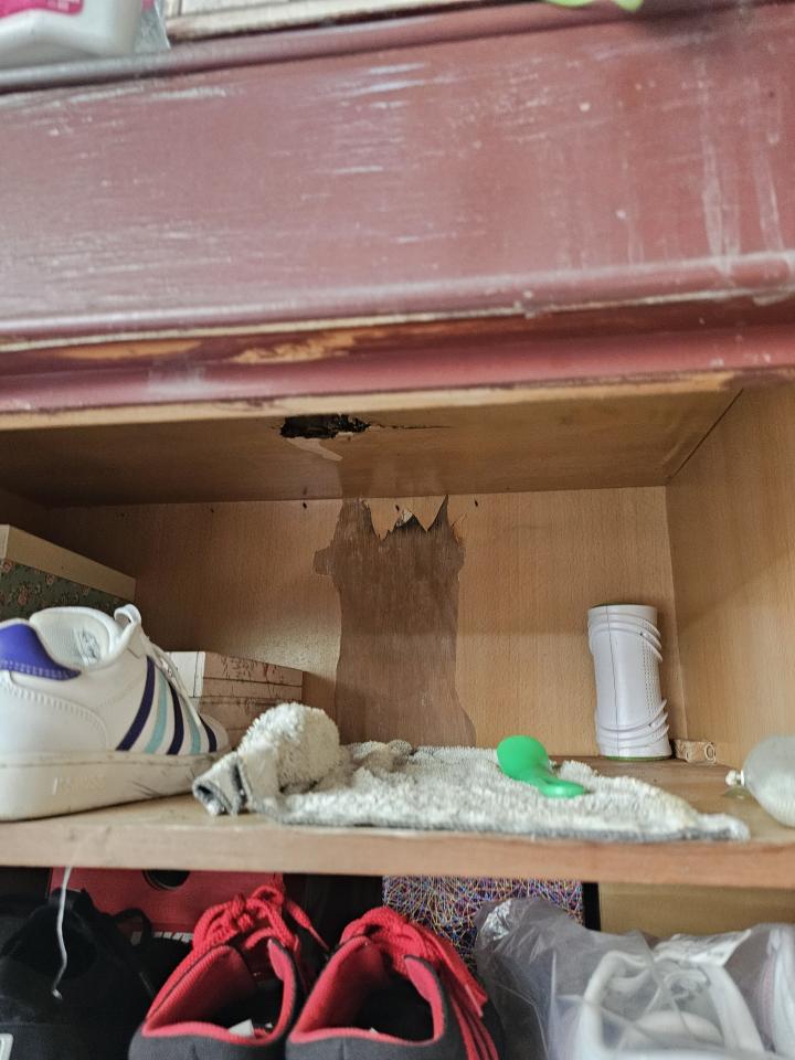 木地板打磨翻新案件圖片 木地板打磨翻新案件圖片