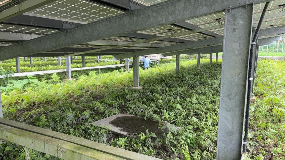 太陽能板清洗案件圖片 太陽能板清洗案件圖片