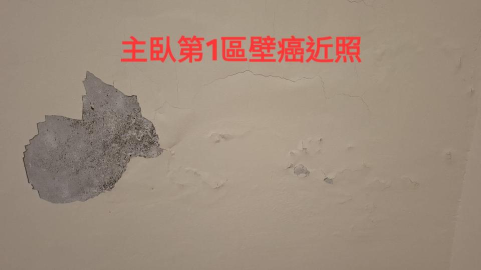 壁癌處理案件圖片 壁癌處理案件圖片