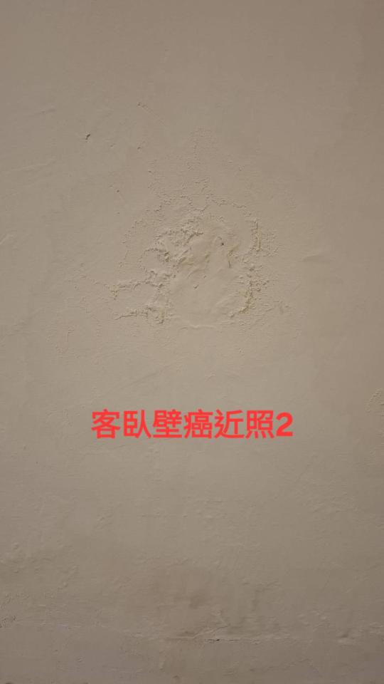 壁癌處理案件圖片 壁癌處理案件圖片